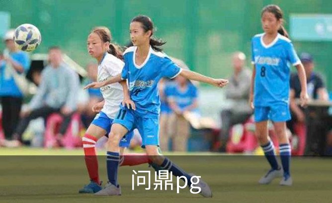 问鼎pg介绍